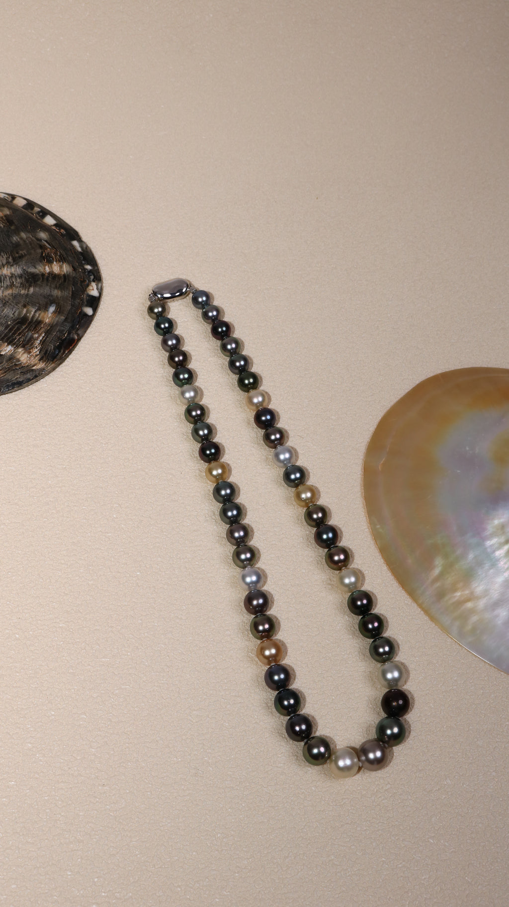Multicolor Salt Water Pearl Necklace